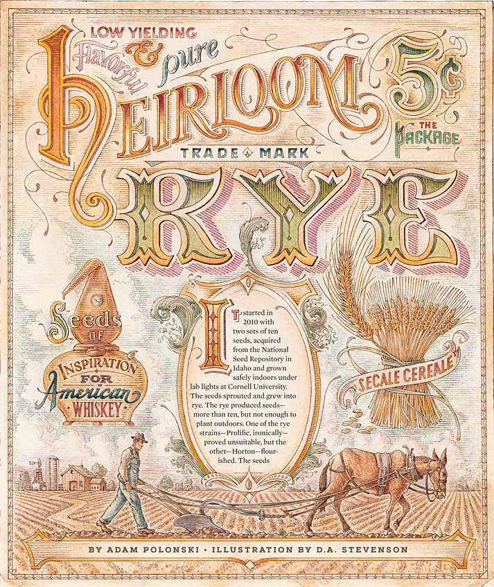 Dave Stevenson illustration of Heirloom Rye - 2019
