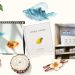 carly martin yankee candle packaging illustration
